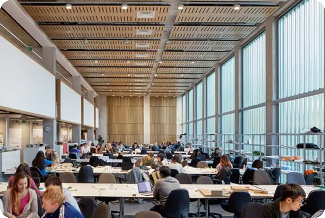 Busy library interior with natural light