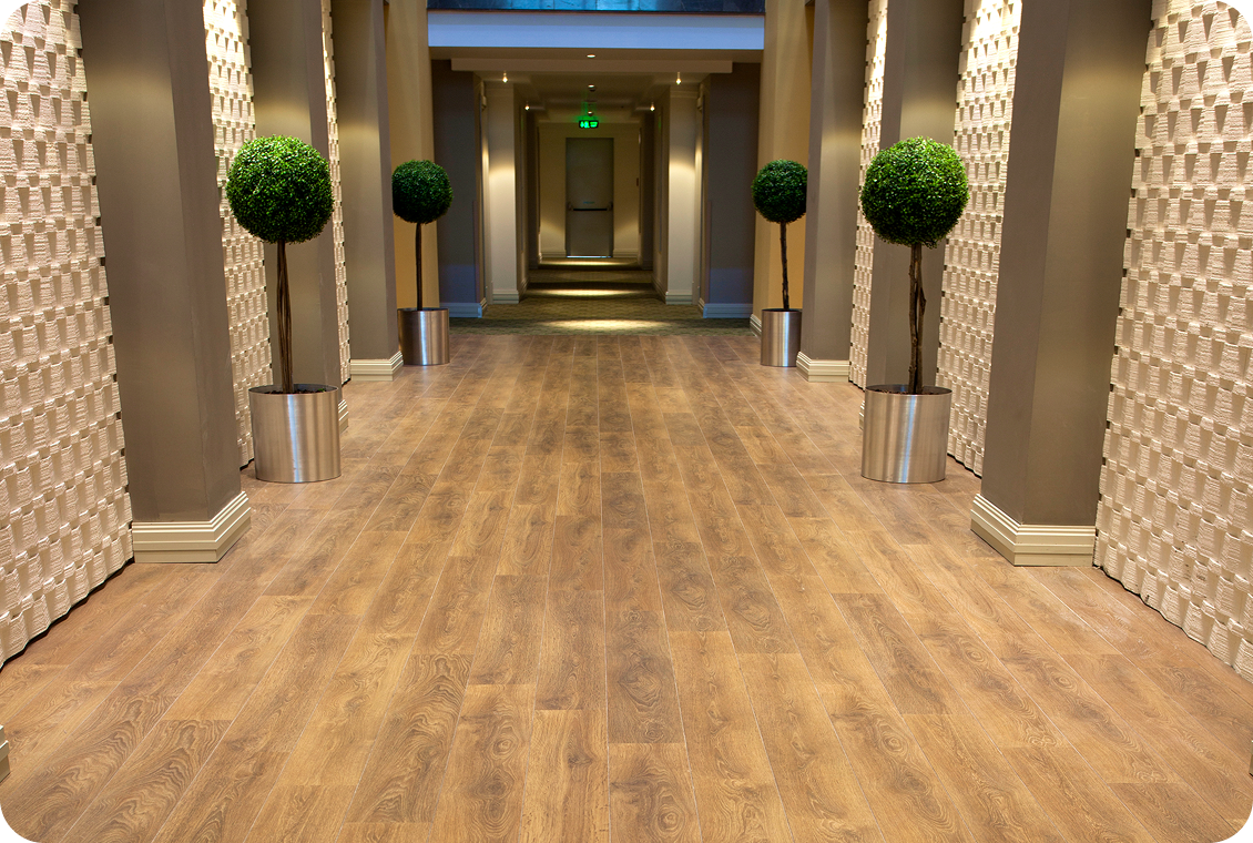 Modern corridor with decorative plants